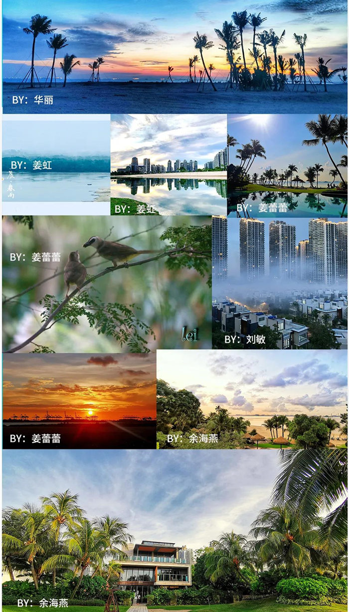 優(yōu)秀獎(jiǎng)作品(二)