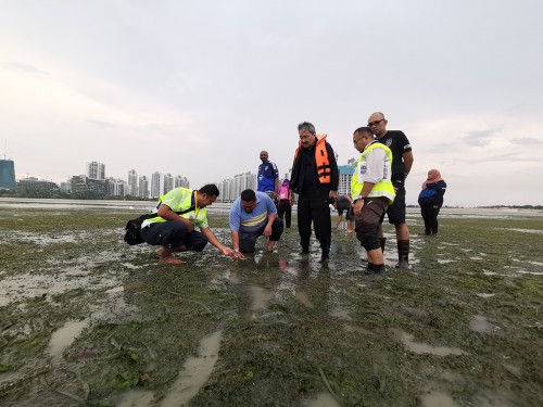 森林城市海藻保護(hù)行動(dòng)